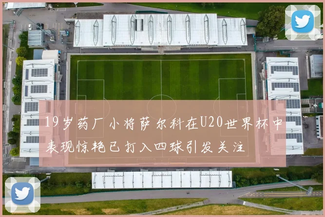 19岁药厂小将萨尔科在U20世界杯中表现惊艳已打入四球引发关注
