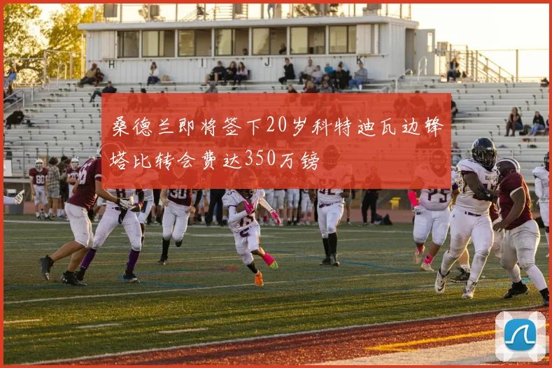 桑德兰即将签下20岁科特迪瓦边锋塔比转会费达350万镑